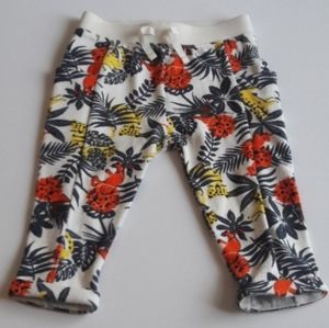 Wonder Nation | Fleece Pants NWOT